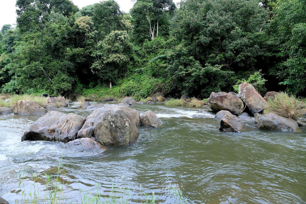 Ayursakthi Riverdale Munnar Exterior photo